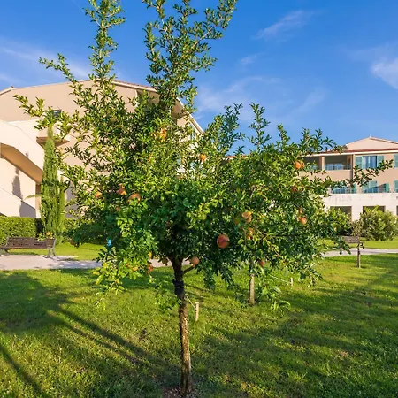 Szálloda Admiral Grand 5*
