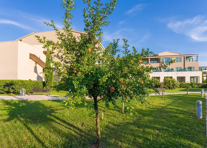 Hotel Admiral Grand 5*